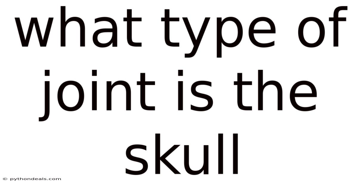 What Type Of Joint Is The Skull