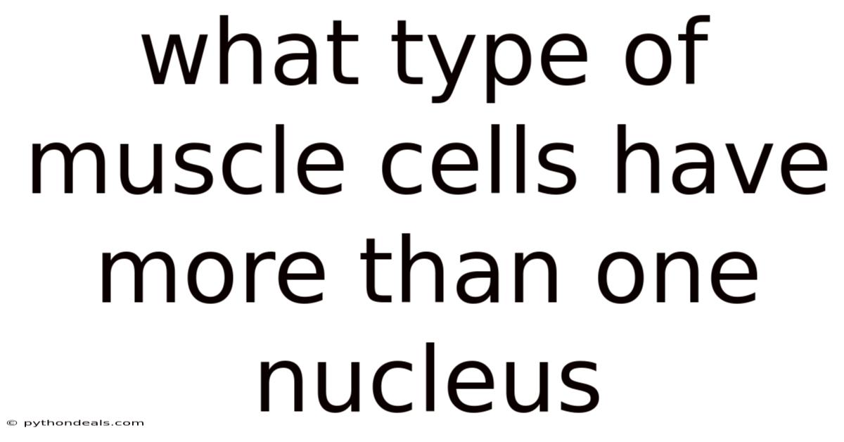What Type Of Muscle Cells Have More Than One Nucleus