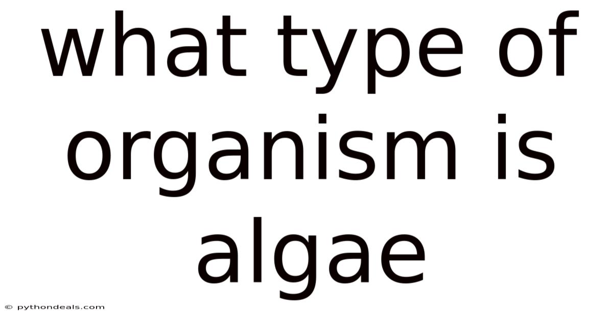 What Type Of Organism Is Algae