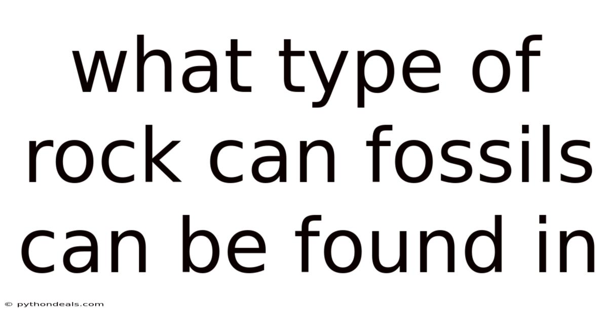 What Type Of Rock Can Fossils Can Be Found In