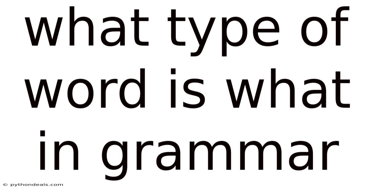 What Type Of Word Is What In Grammar