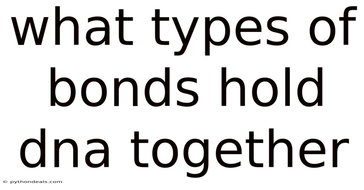 What Types Of Bonds Hold Dna Together
