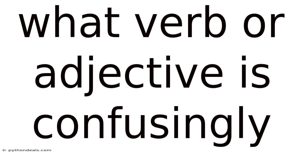 What Verb Or Adjective Is Confusingly