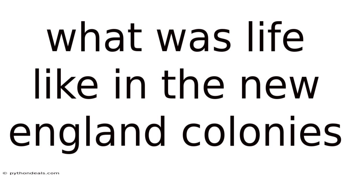 What Was Life Like In The New England Colonies