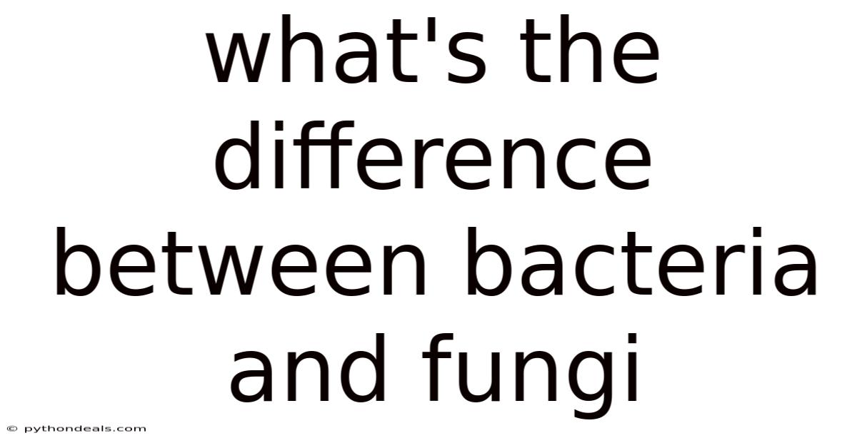 What's The Difference Between Bacteria And Fungi