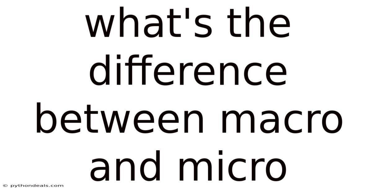 What's The Difference Between Macro And Micro