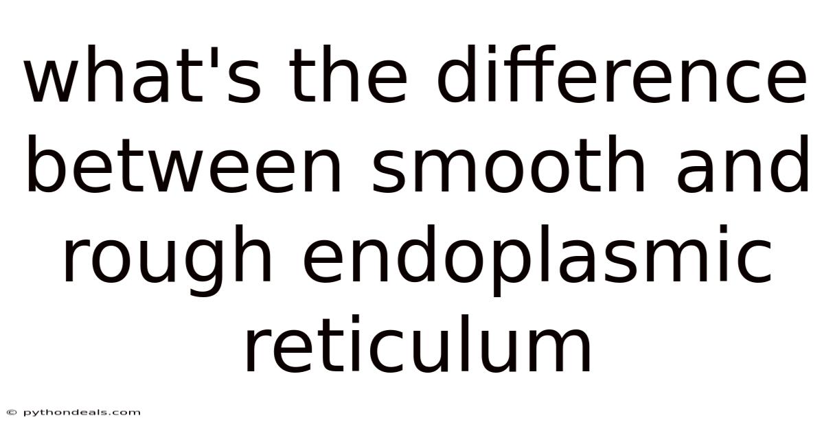 What's The Difference Between Smooth And Rough Endoplasmic Reticulum