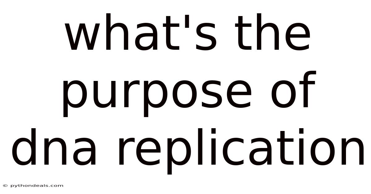 What's The Purpose Of Dna Replication