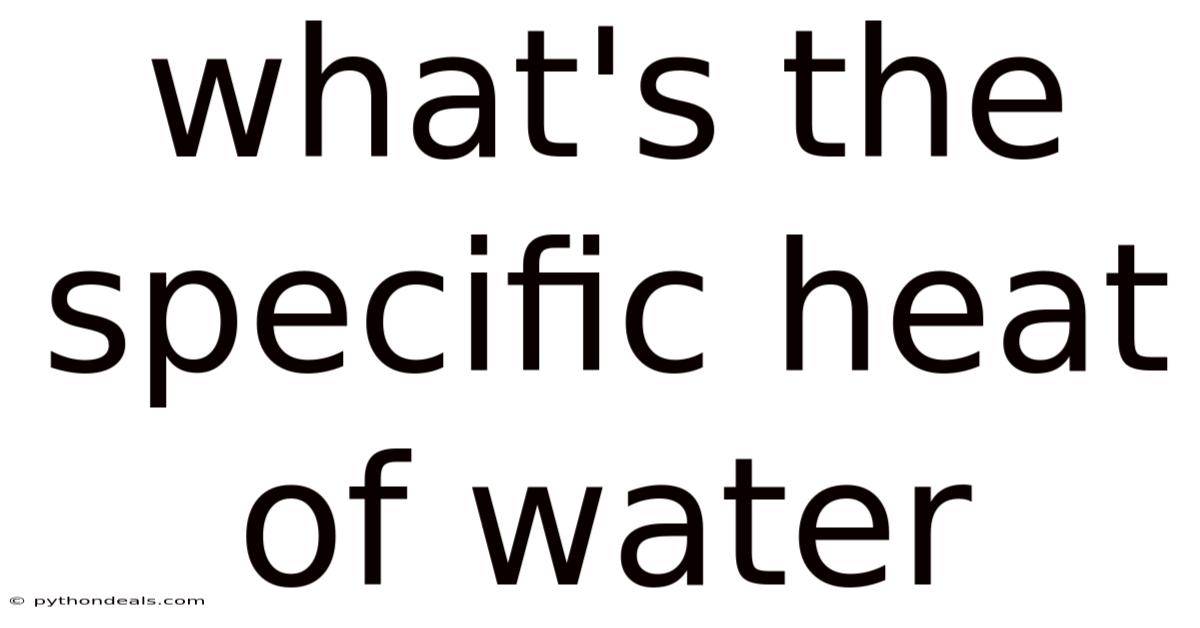 What's The Specific Heat Of Water