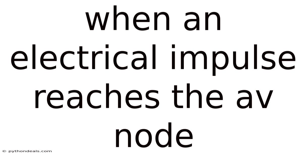 When An Electrical Impulse Reaches The Av Node