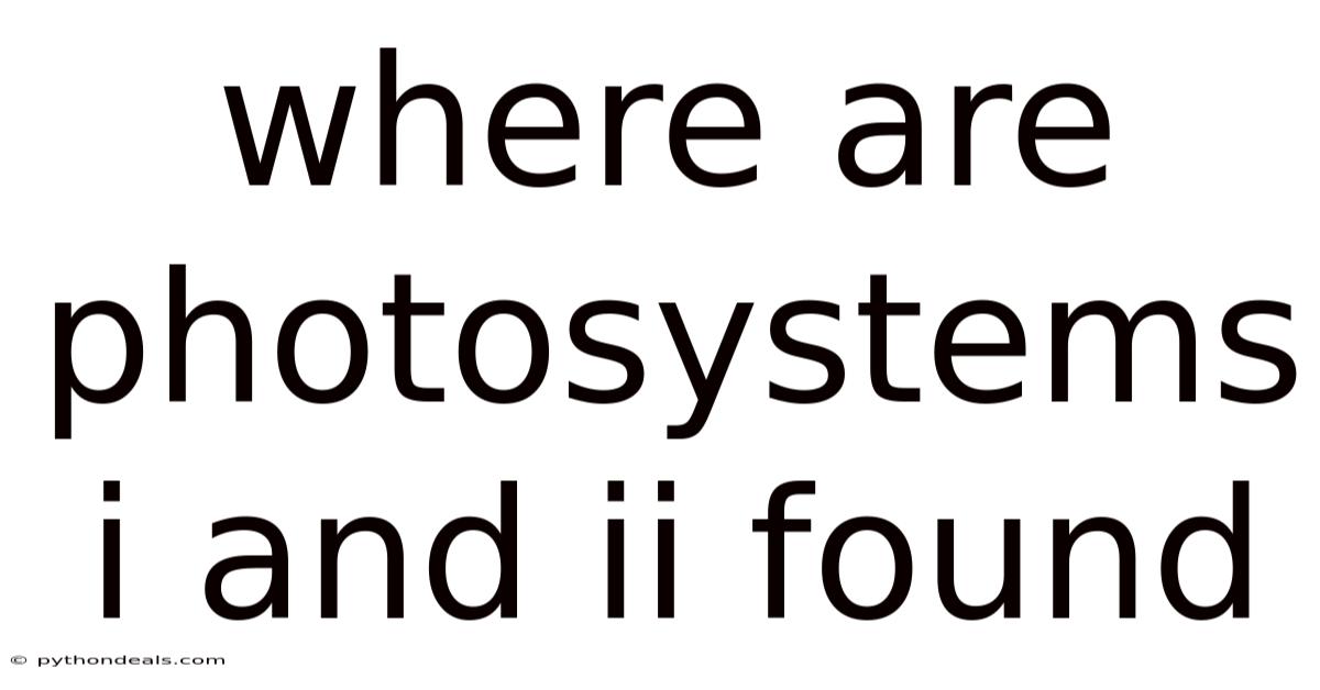 Where Are Photosystems I And Ii Found