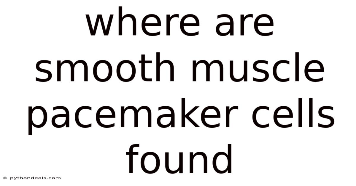 Where Are Smooth Muscle Pacemaker Cells Found