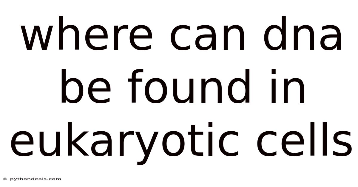 Where Can Dna Be Found In Eukaryotic Cells