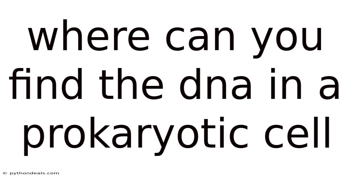 Where Can You Find The Dna In A Prokaryotic Cell
