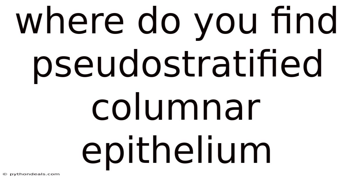 Where Do You Find Pseudostratified Columnar Epithelium