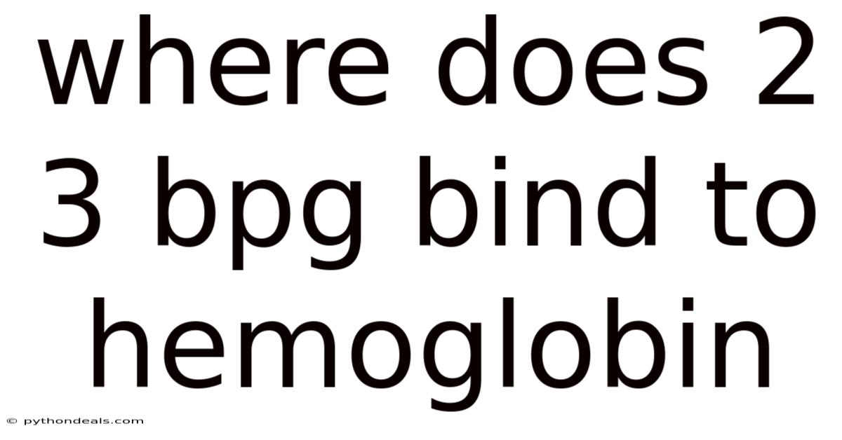 Where Does 2 3 Bpg Bind To Hemoglobin