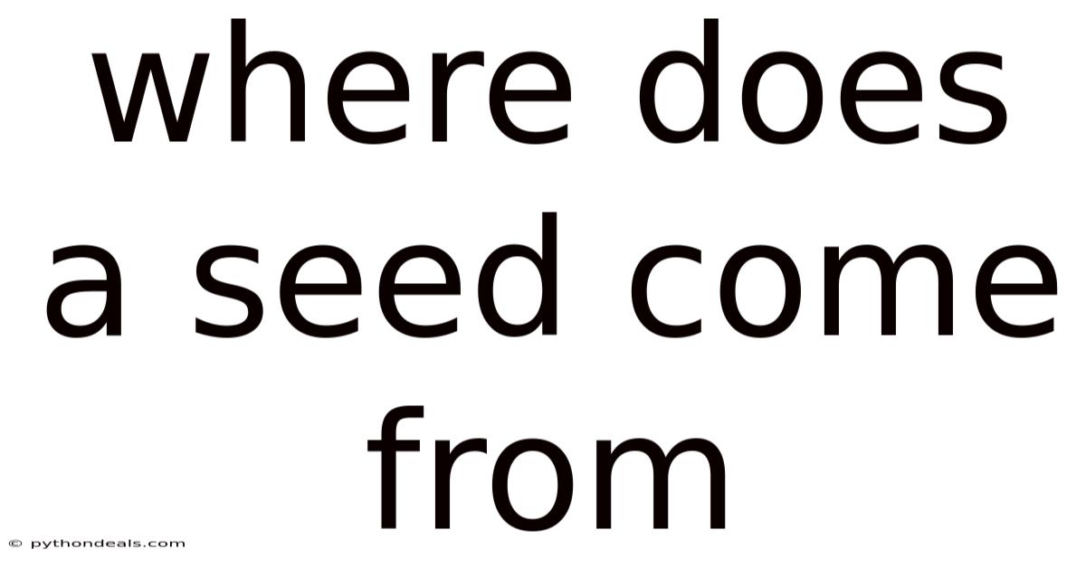 Where Does A Seed Come From