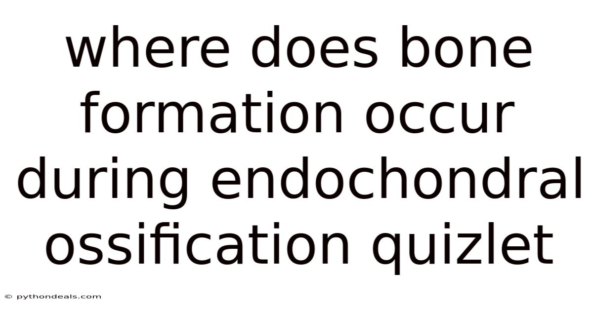 Where Does Bone Formation Occur During Endochondral Ossification Quizlet
