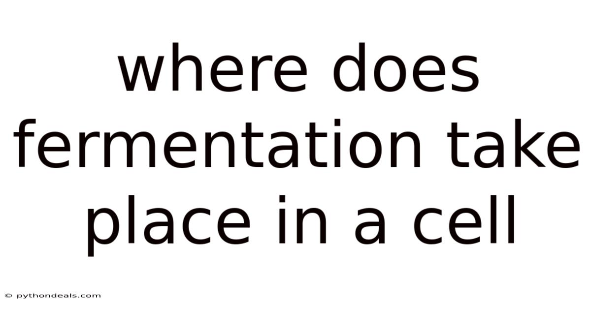 Where Does Fermentation Take Place In A Cell