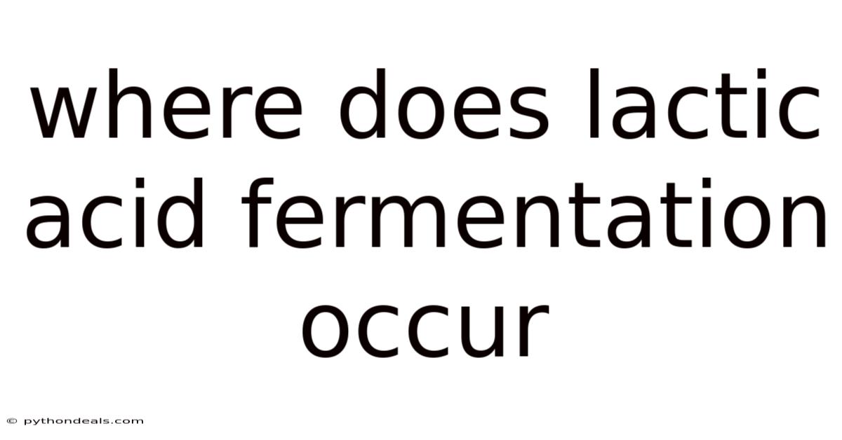 Where Does Lactic Acid Fermentation Occur