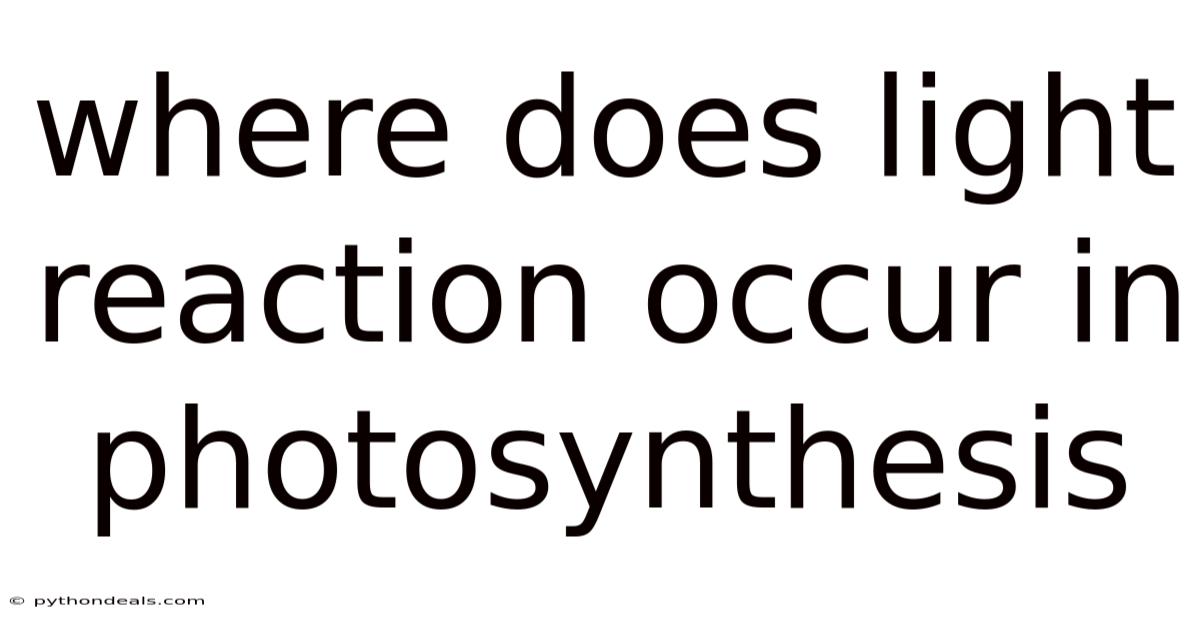 Where Does Light Reaction Occur In Photosynthesis