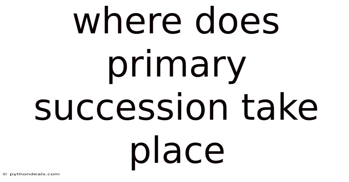 Where Does Primary Succession Take Place