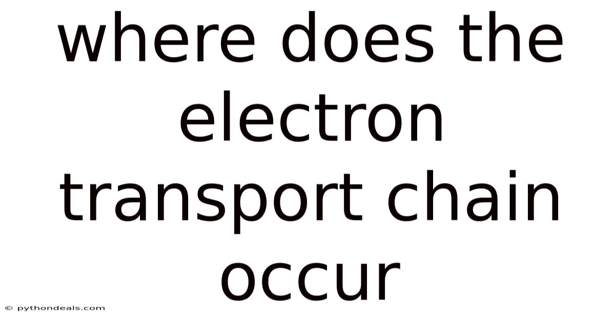 Where Does The Electron Transport Chain Occur