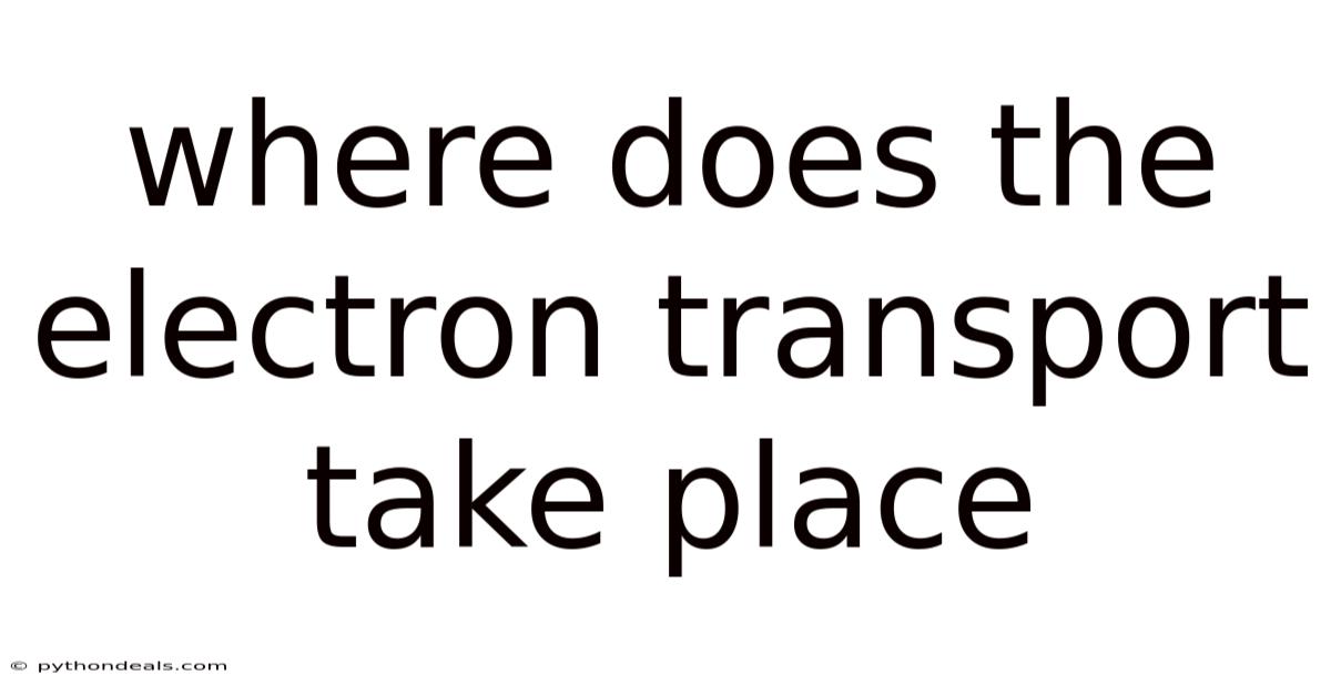 Where Does The Electron Transport Take Place