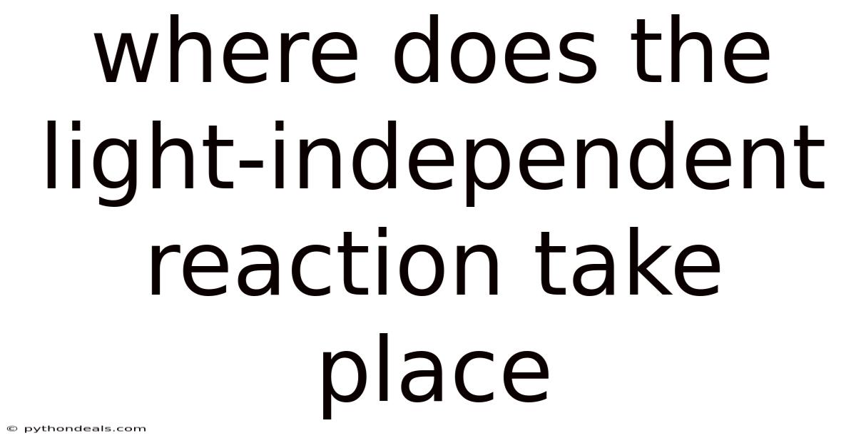 Where Does The Light-independent Reaction Take Place