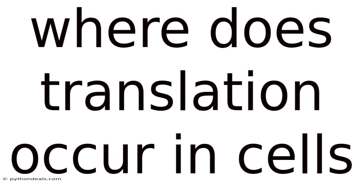 Where Does Translation Occur In Cells