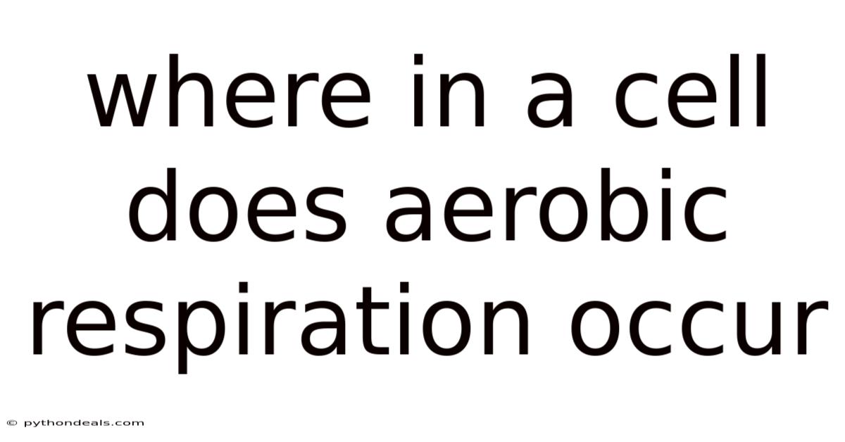 Where In A Cell Does Aerobic Respiration Occur