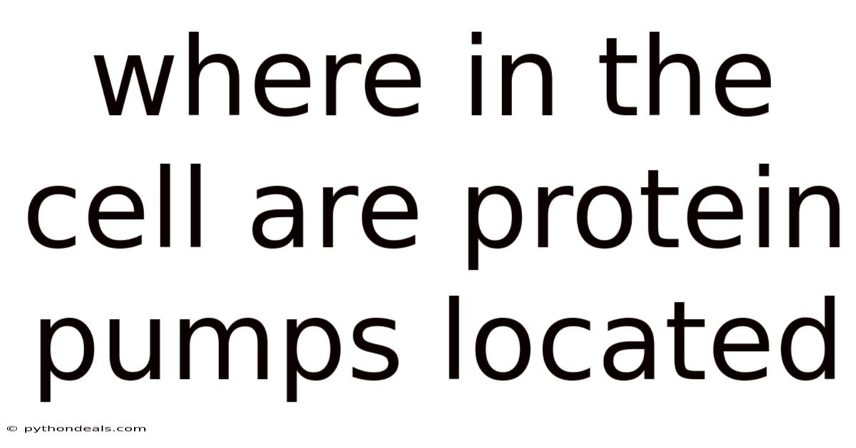 Where In The Cell Are Protein Pumps Located