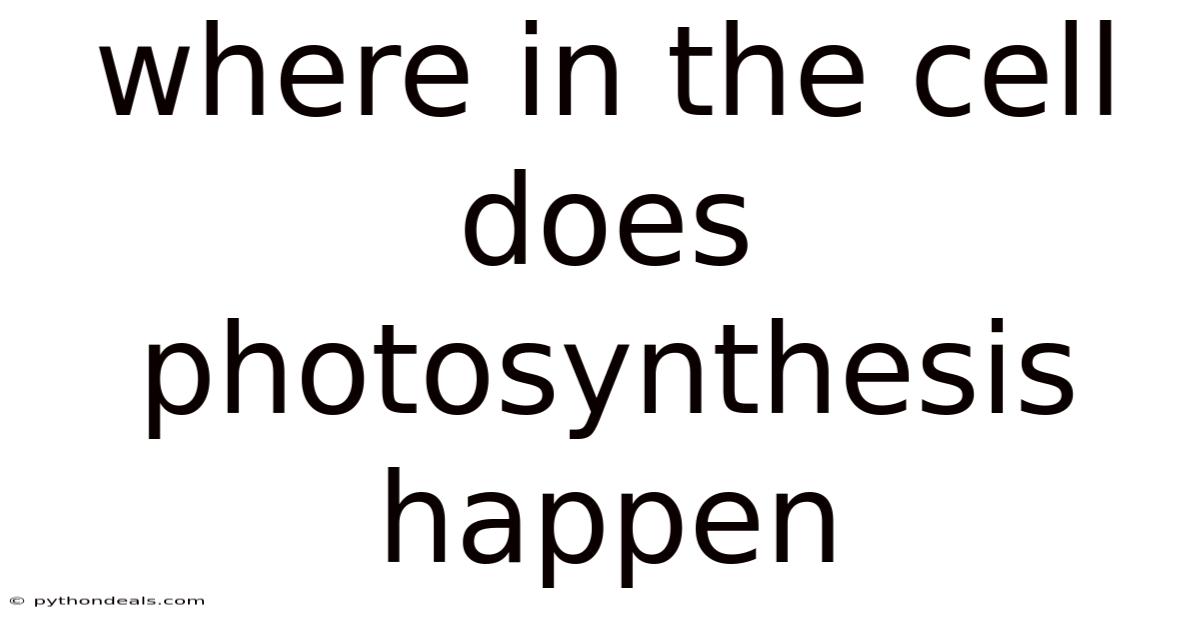 Where In The Cell Does Photosynthesis Happen