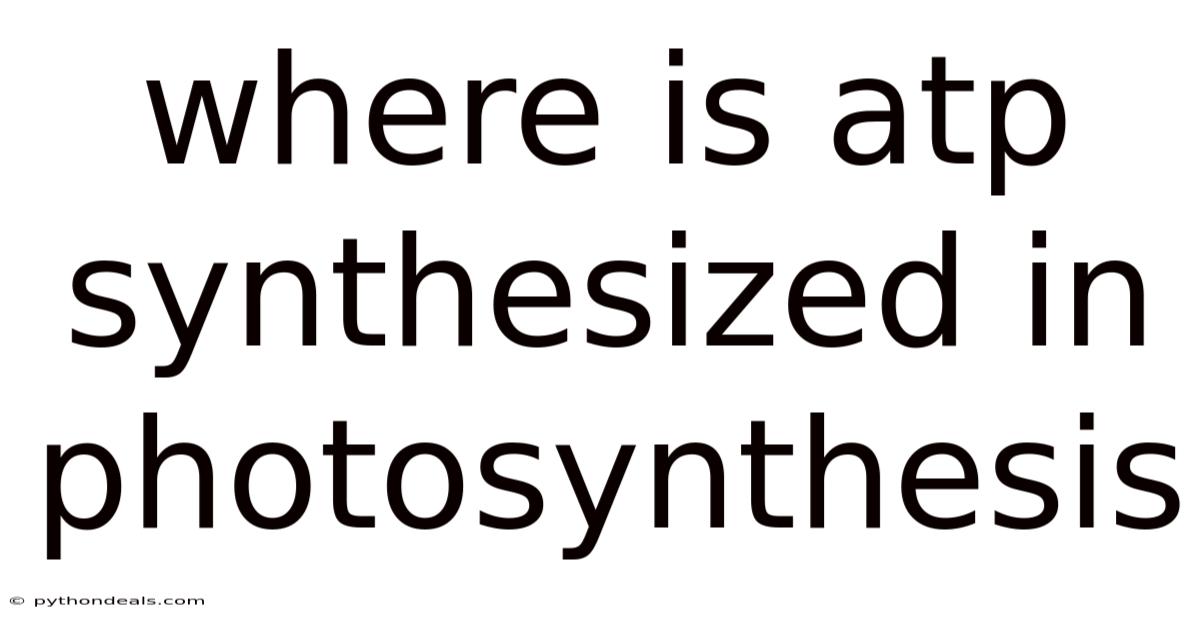 Where Is Atp Synthesized In Photosynthesis