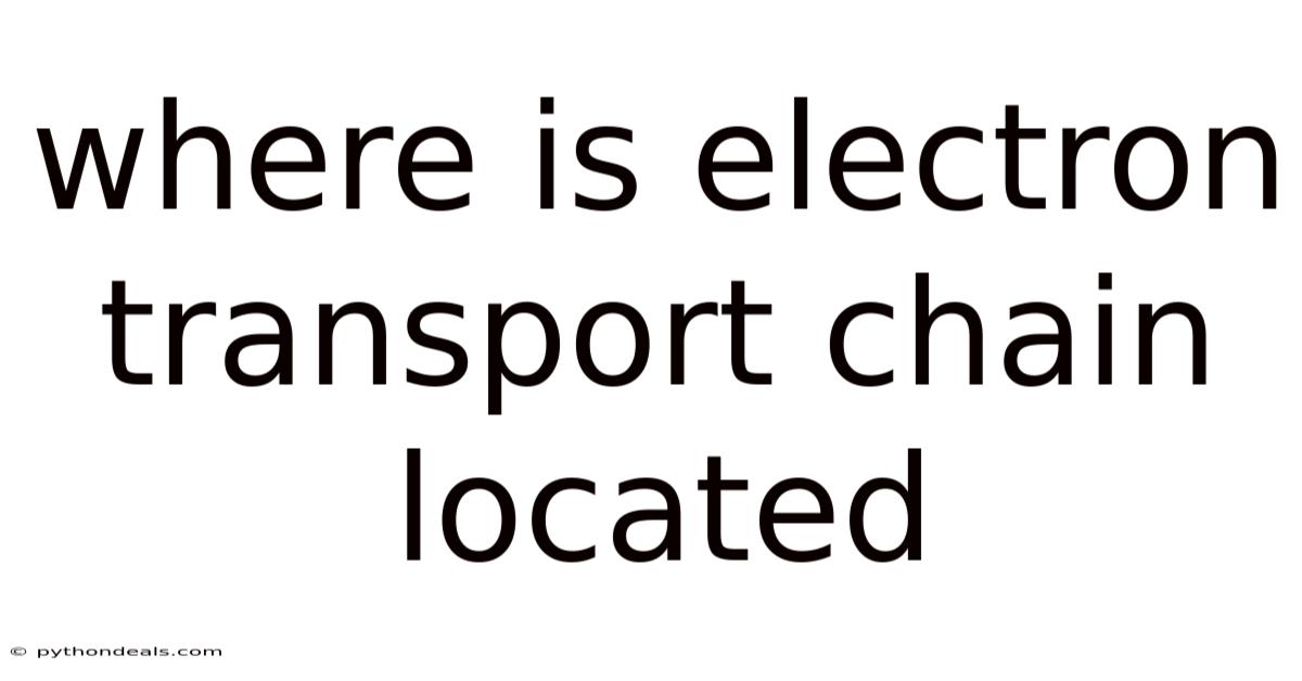 Where Is Electron Transport Chain Located