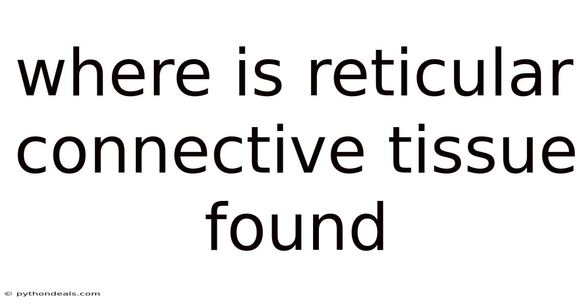 Where Is Reticular Connective Tissue Found