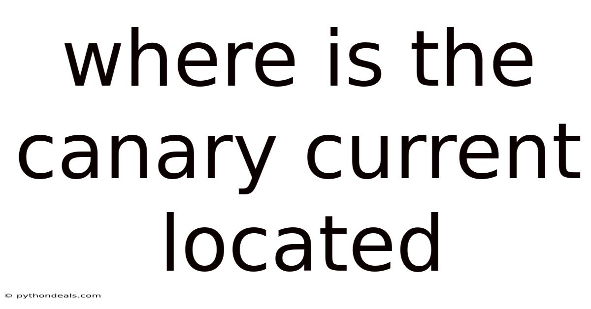 Where Is The Canary Current Located