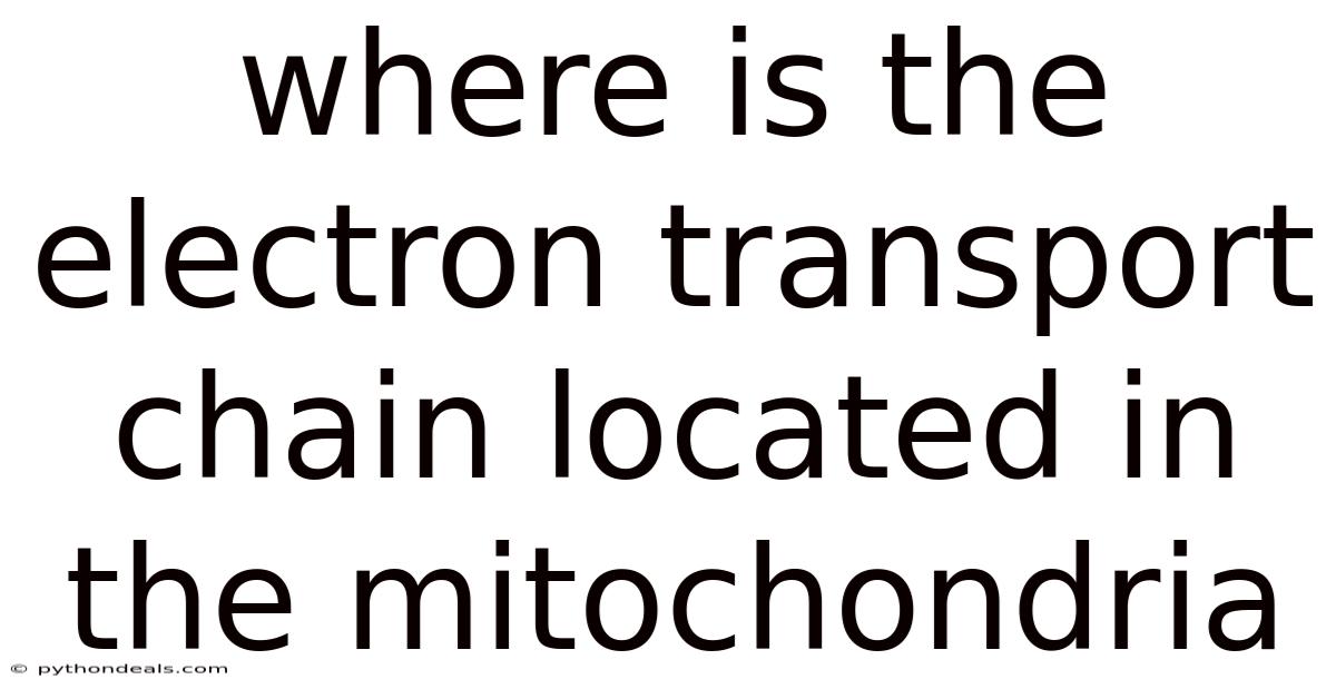 Where Is The Electron Transport Chain Located In The Mitochondria
