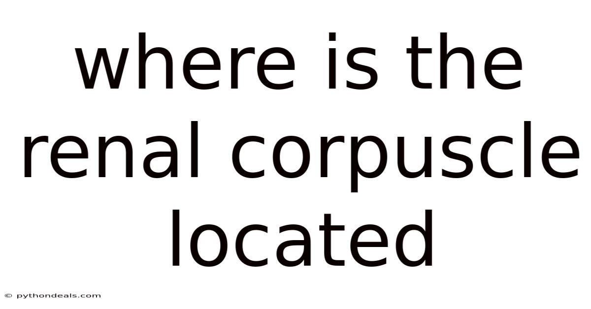 Where Is The Renal Corpuscle Located