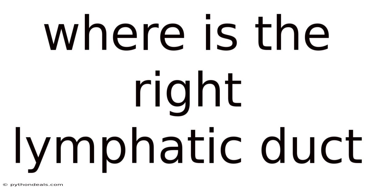 Where Is The Right Lymphatic Duct