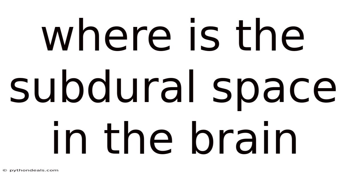 Where Is The Subdural Space In The Brain
