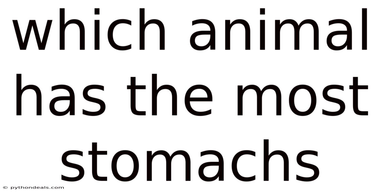 Which Animal Has The Most Stomachs