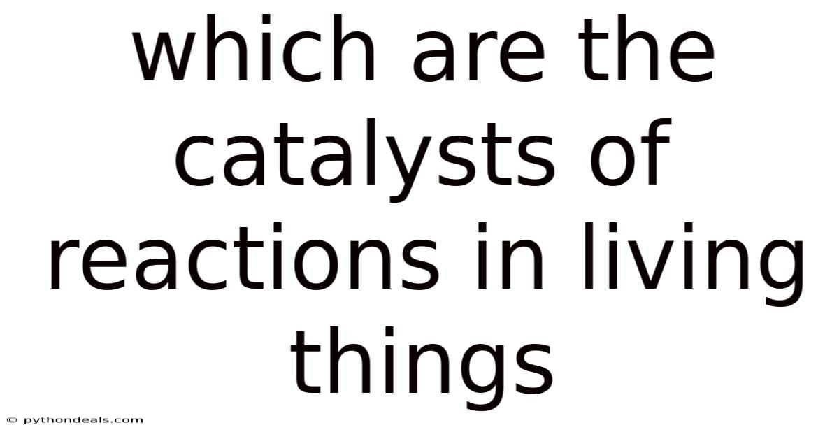 Which Are The Catalysts Of Reactions In Living Things