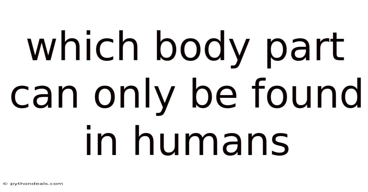 Which Body Part Can Only Be Found In Humans