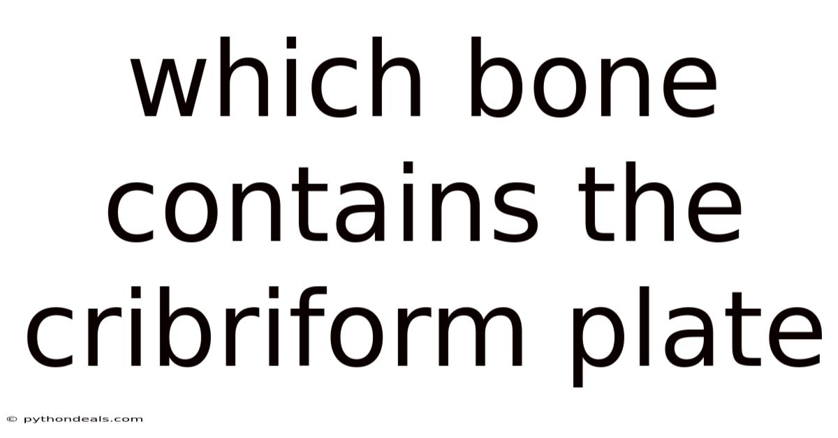 Which Bone Contains The Cribriform Plate