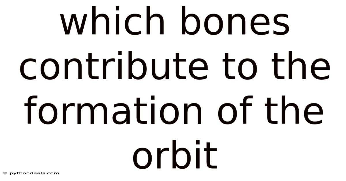 Which Bones Contribute To The Formation Of The Orbit