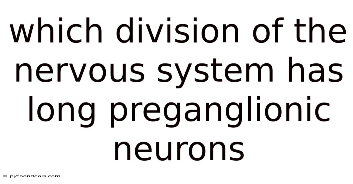 Which Division Of The Nervous System Has Long Preganglionic Neurons