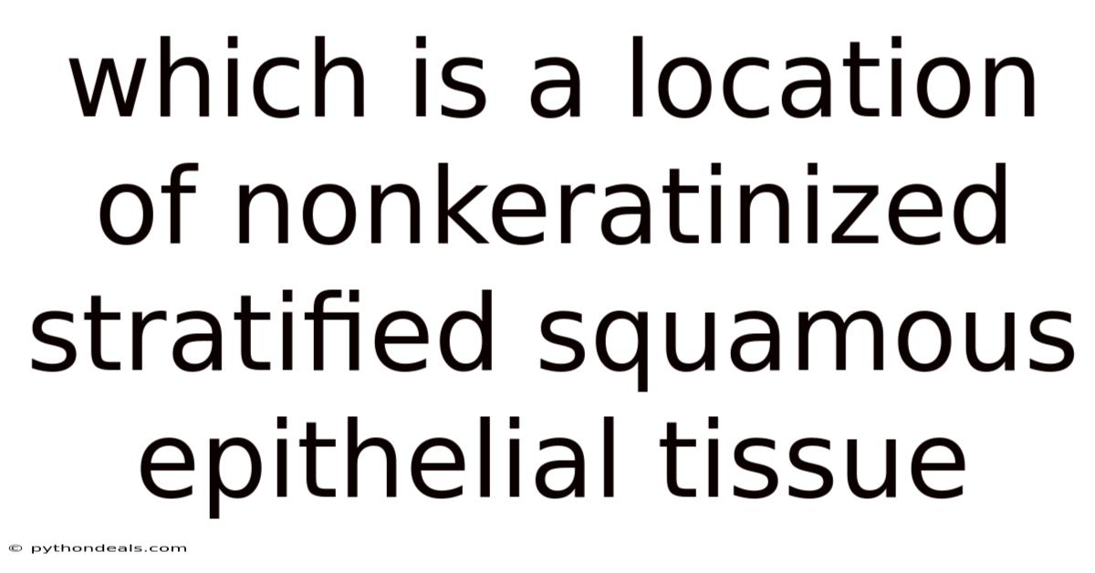 Which Is A Location Of Nonkeratinized Stratified Squamous Epithelial Tissue