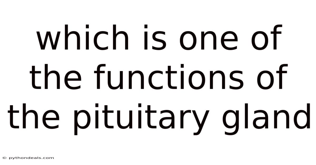 Which Is One Of The Functions Of The Pituitary Gland