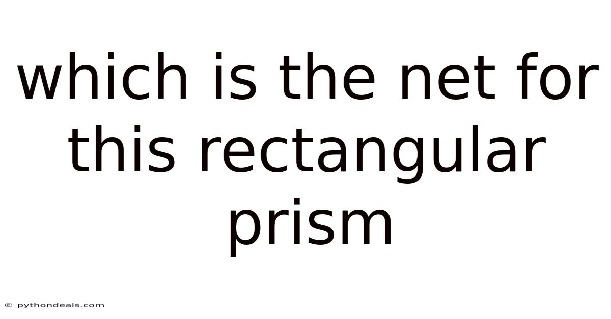 Which Is The Net For This Rectangular Prism